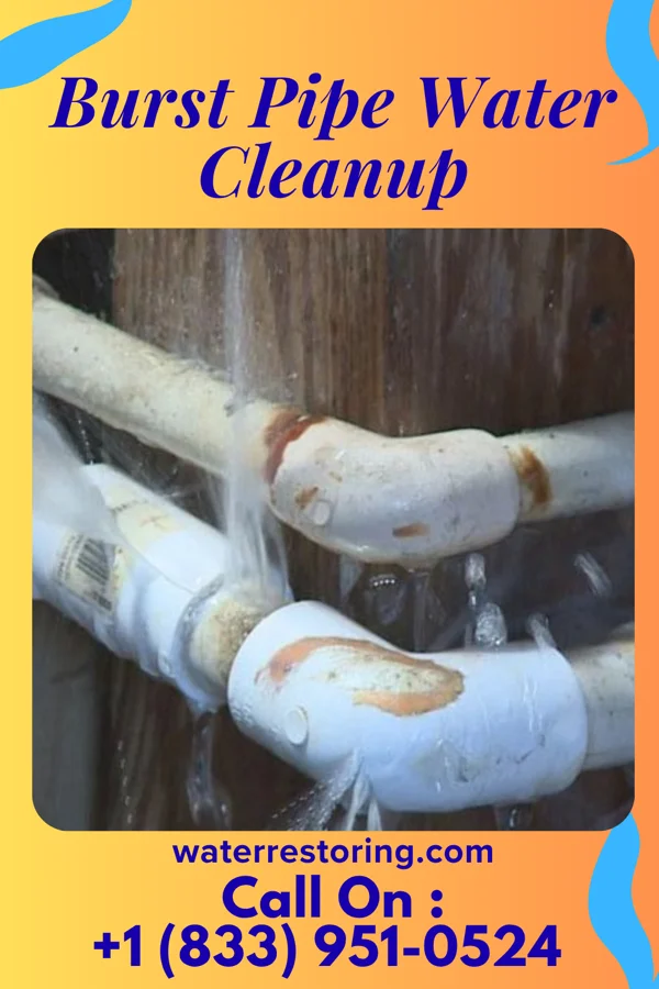 Burst Pipe Water Cleanup in Moffett, OK