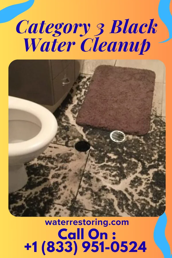 Category 3 Black Water Cleanup in Moffett, OK