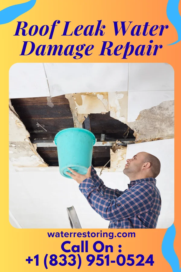 Roof Leak Water Damage Repair in Moffett, OK