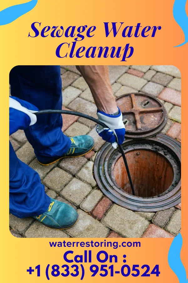 Sewage Water Cleanup in Moffett, OK