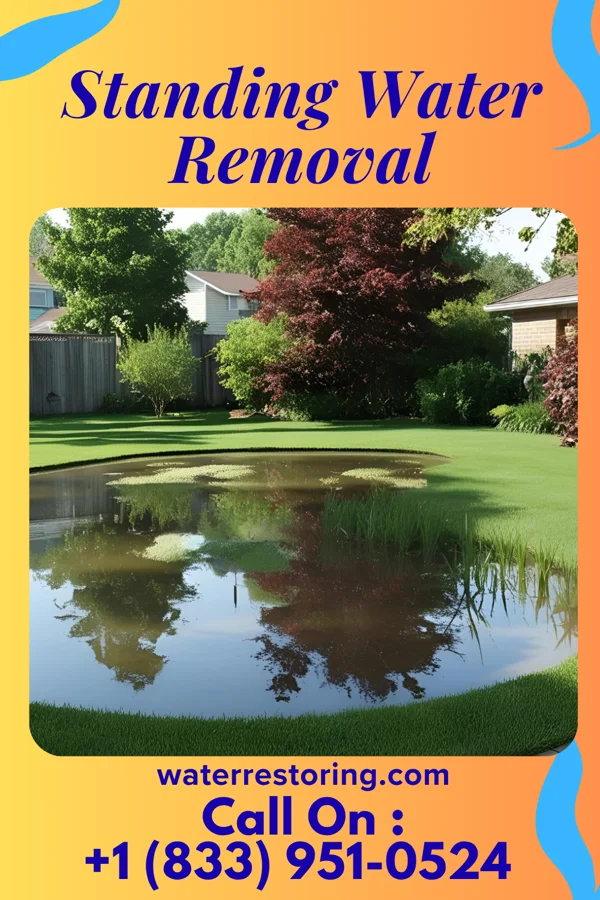 Standing Water Removal in Moffett, OK